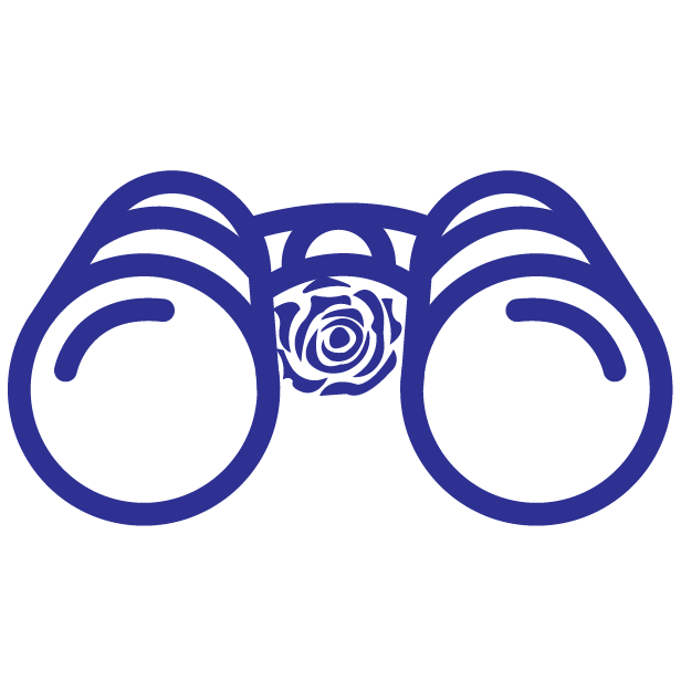 Icon of Vision